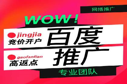 行业标杆的SEM竞价营销案例研究
