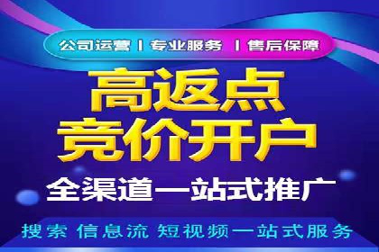 百度竞价排名策略解析：一家公司的广告投放策略全揭秘